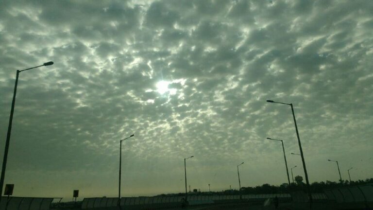 ALERT : मप्र के 15 जिलों में धूल भरी आंधी और बारिश | MP WEATHER REPORT