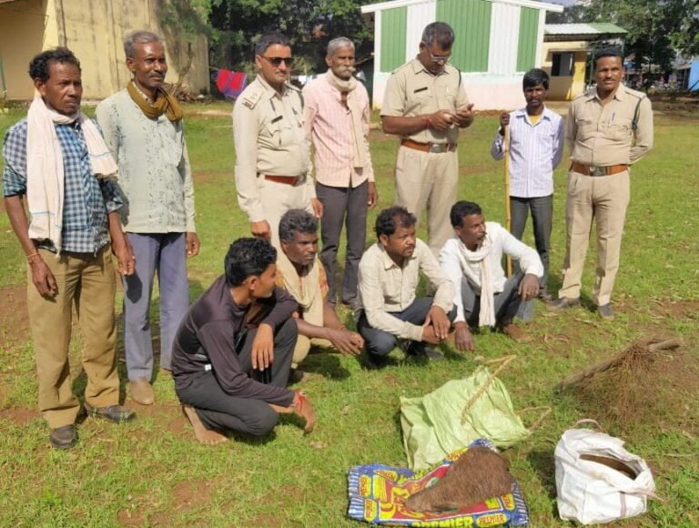 जंगली सुअर का मांस सहित 4 आरोपी धराये