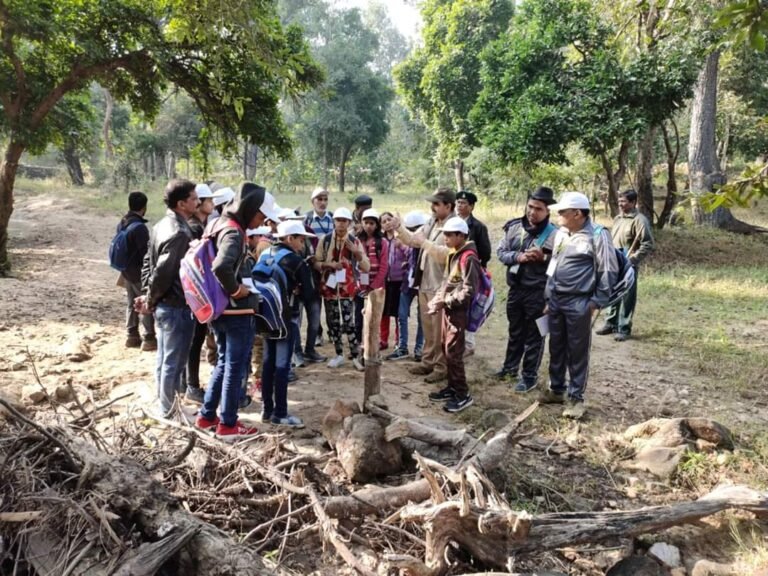 सिवनी : त्रि-दिवसीय राज्य स्तरीय मोगली बाल महोत्सव बना आकर्षण का केन्द्र