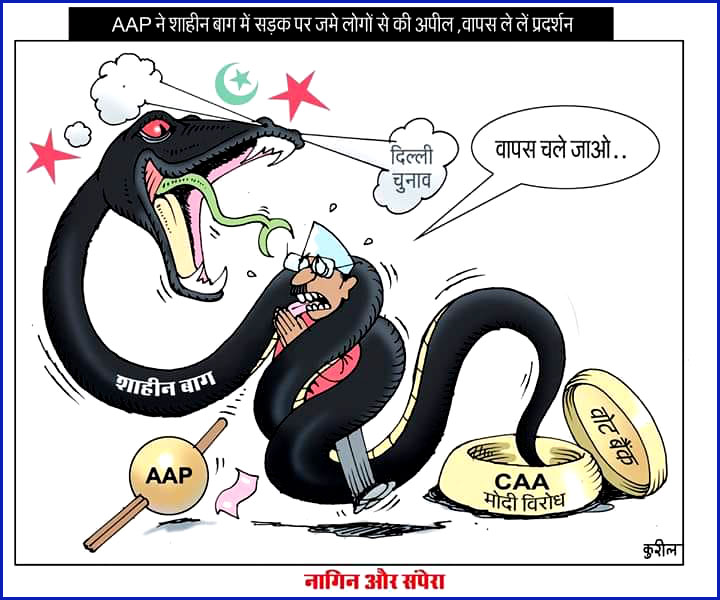 कार्टून : Delhi Election, AAP