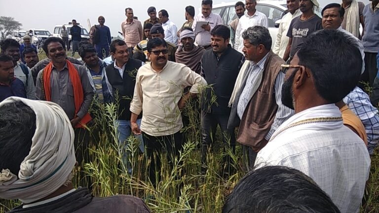सिवनी : ओलावृष्टि से प्रभावित ग्रामों का कलेक्टर ने किया निरीक्षण