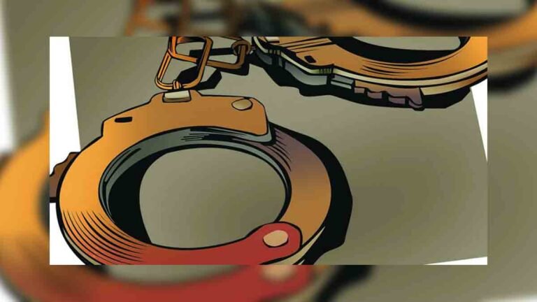 सिवनी /आर्म्स एक्ट : 03 असामाजिक तत्वों पर हुई कार्यवाही