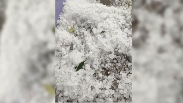 सिवनी : 24 घंटे में तेज बारिश के साथ गिरे ओले