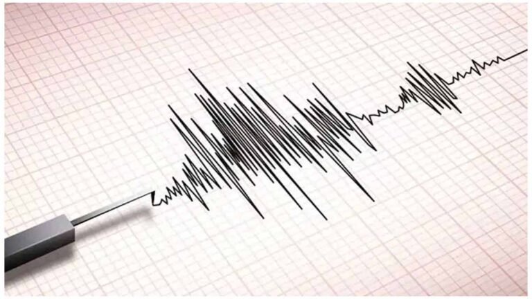 Earthquake In Seoni: सिवनी में भूकंप के झटके, 2 बजकर 52 मिनिट पर तीव्रता 2.5 दर्ज