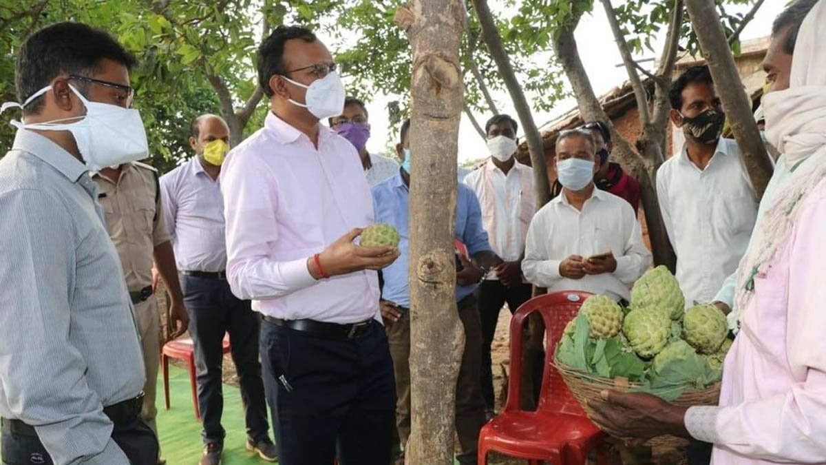 seoni collector and sp