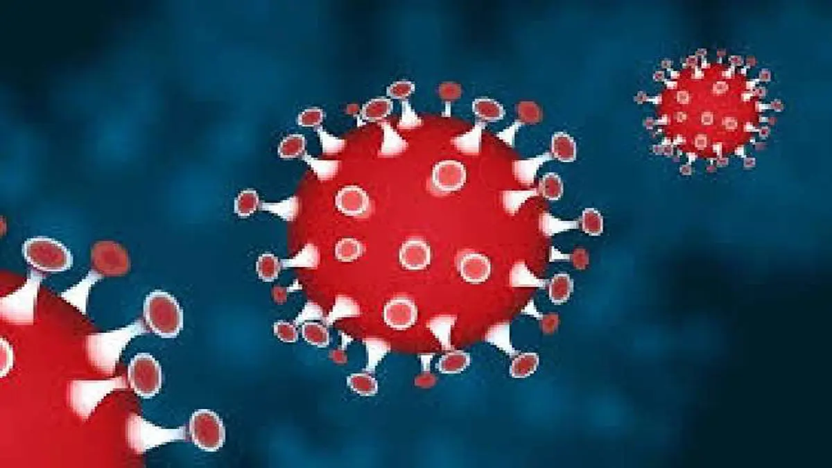 दुनिया में कोरोना वायरस का आंकड़ा 8 करोड़ 71 लाख के पार, जानें अबतक कितने लोगों की हुई मौत