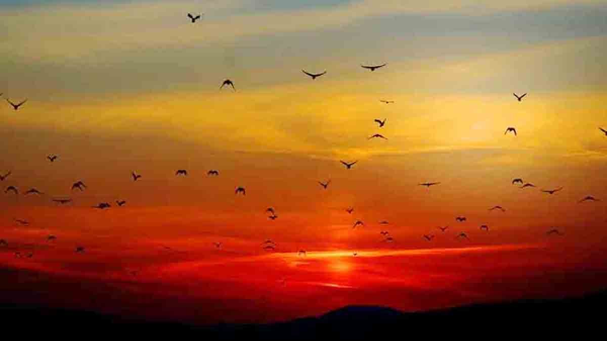 happy-new-year-2021-first-s