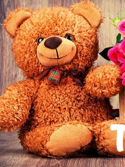 cropped-happy-teddy-day-2021.jpg