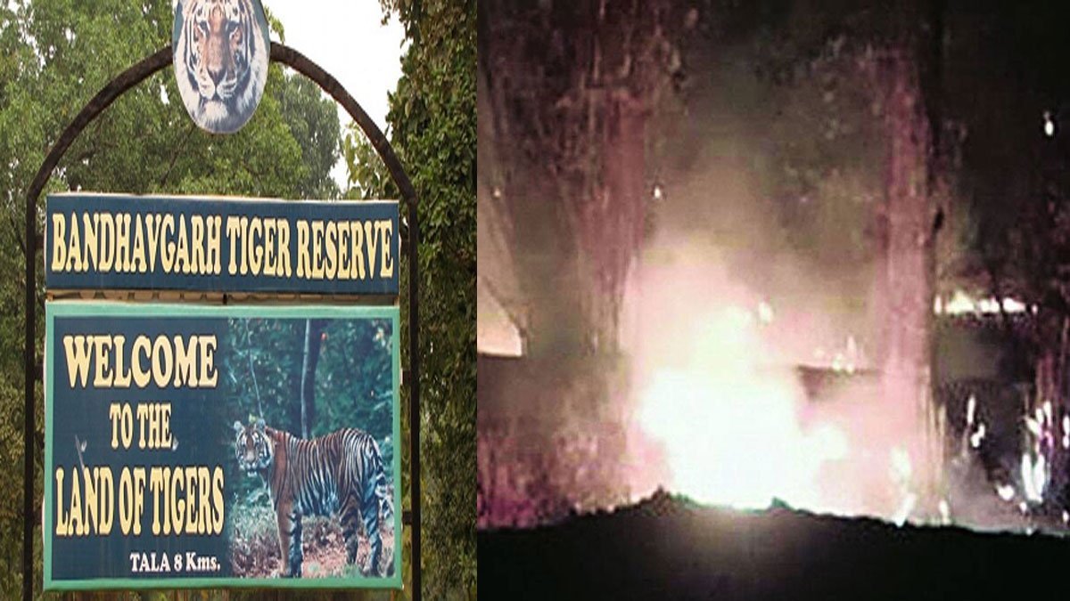 fire in bandhavgarh national park