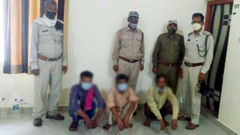 सिवनी: नीलगाय का करेंट लगाकर शिकार करने वाले तीन आरोपित पहुंचे जेल