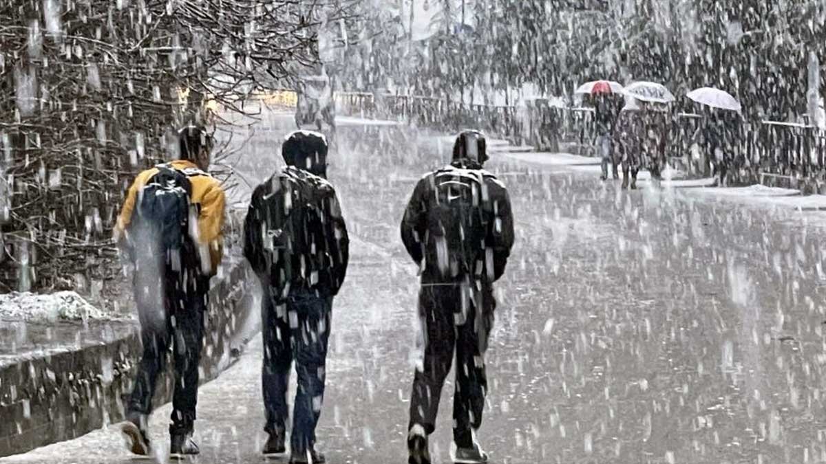 Fresh snowfall in Kashmir, rain likely on February 6-7