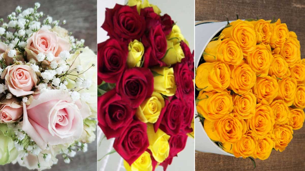 Rose-Day-2022-Special