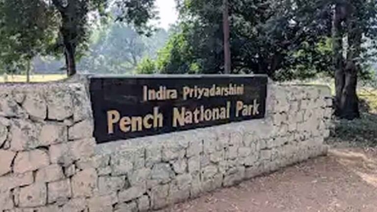सिवनी: पेंच नेशनल पार्क के होटल और रिसोर्ट में कर्मचारियों का शोषण, प्रशासन की अनदेखी, शासन मौन