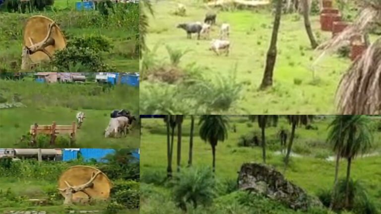सिवनी: 5 करोड़ रुपये की लागत से होगा शंकराचार्य पार्क का नवनिर्माण, पूर्व CMO नवनीत पांडे पर दर्ज होगी FIR
