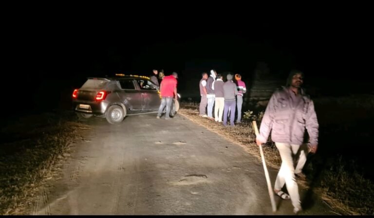 सिवनी : बरघाट में शेर की आहट से सहमे लोग, वन विभाग की टीम पहुचीं मौके पर