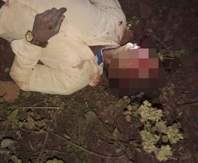 सिवनी: बाघ के हमले से एक कि मौत, चलती बाइक में किया बाघ ने हमला; क्षेत्र में सनसनी