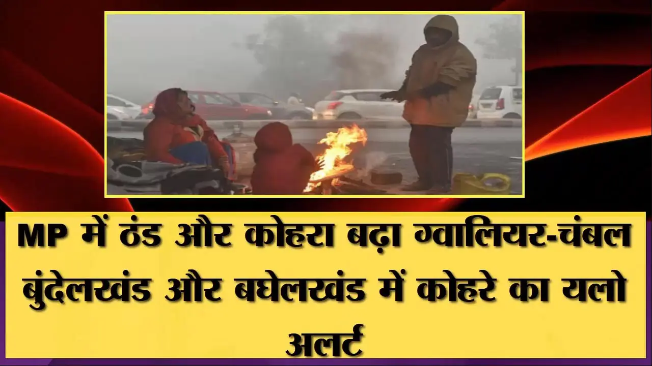 MP WEATHER: Cold started increasing in MP, Yellow Alert of fog issued in these districts of MP - Weather Forecast