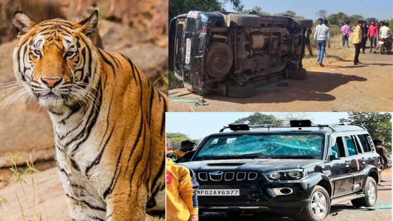 सिवनी: बाघ के हमले से मौत, गुस्से में ग्रामीणों ने की अधिकारीयों के साथ मारपीट, वनरक्षक की वर्दी फाड़ी; डॉ का सिर…