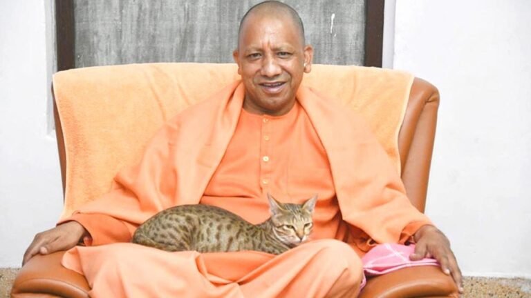 मुख्यमंत्री योगी ने ट्वीट की गोद में बैठी बिल्ली की तस्वीर, लोगों ने कहा…