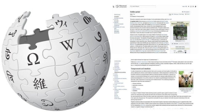 पाकिस्तान ने ‘WIKIPEDIA’ पर प्रतिबंध लगाया; ईशनिंदा सामग्री को नहीं हटाने के लिए कार्रवाई