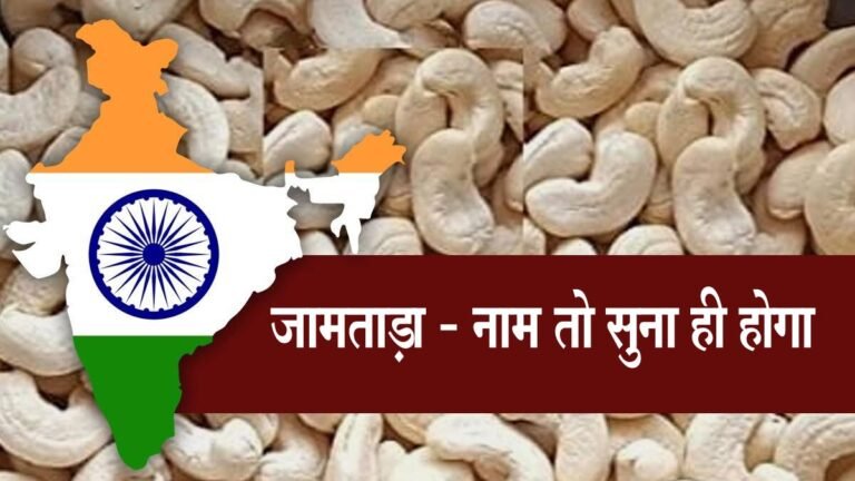भारत में ‘इस’ जगह प्याज-आलू के भाव में मिलता है ‘काजू’; शहर का नाम सुनकर आप भी रह जाएंगे हैरान