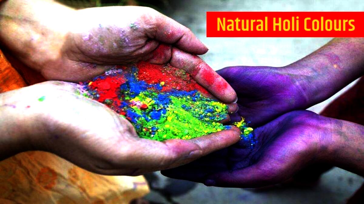 natural holi colors