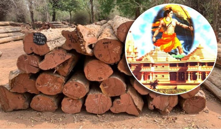 अयोध्या राम मंदिर के लिए चंद्रपुर से 1800 क्यूबिक मीटर सागौन की लकड़ी भेजी जाएगी