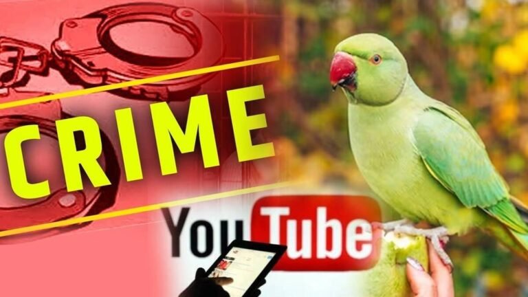 तोता बेचने के आरोप में Youtuber को पुलिस ने किया गिरफ्तार, क्या है असली मामला? पढ़ते रहिये…