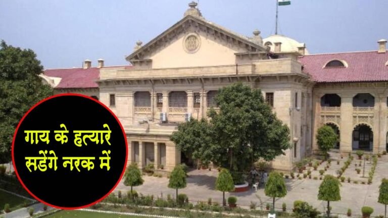 “गाय के हत्यारे सड़ेंगे नरक में”, इलाहाबाद हाई कोर्ट ने बहस में की टिप्पणी; गाय को संरक्षित राष्ट्रीय पशु घोषित करने की मांग!