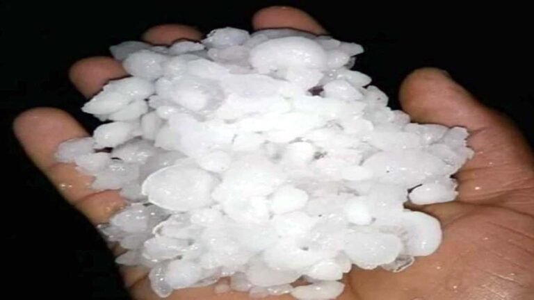 MP WEATHER: मप्र के कई जिलो में ओलावृष्टि, सतना, अनूपपुर और पन्ना जिले में बारिश के साथ गिरे ओले