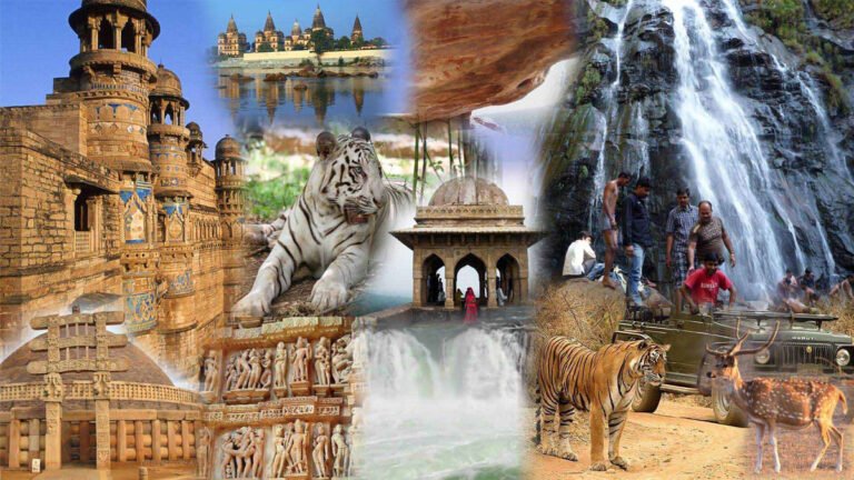 मुख्यमंत्री शिवराज सिंह चौहान ने बेस्ट स्टेट प्रमोटिंग वाइल्ड लाइफ टूरिज्म अवार्ड के लिए दी बधाई