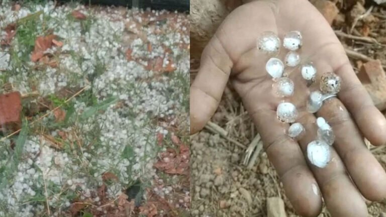 MP में चौथे दिन भी बारिश का दौर रहा जारी, किसानों के अरमानों पर फिरा पानी – MP WEATHER