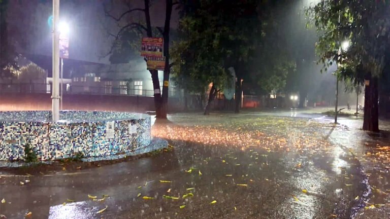 UP WEATHER: वाराणसी में बारिश और ओलावृष्टि से फसलों को बड़ा नुकसान, टूटी डालियां और उखड़े पेड़