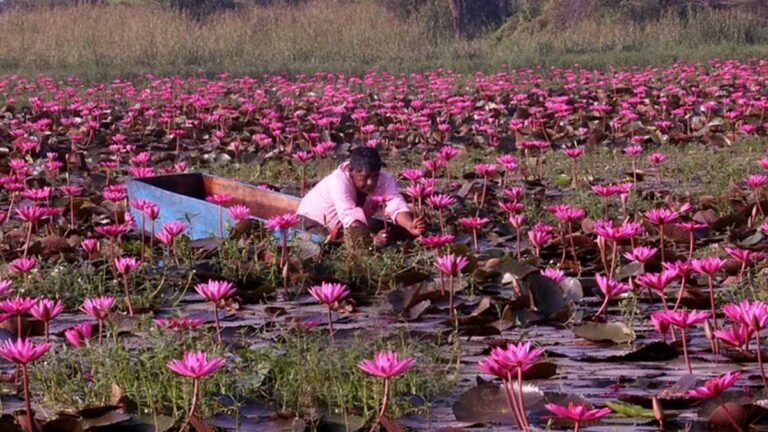 Gulawat Lotus Valley Indore: इंदौर की गुलावट लोटस वैली को विकसित किया जायेगा पर्यटन स्थल के रूप में