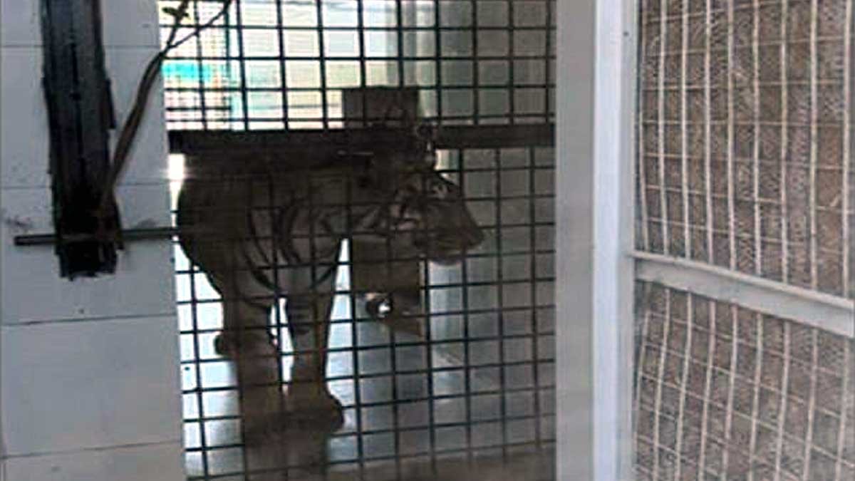 bhopal-national-park