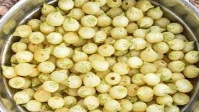 लंदन में मेहकेगा MP का महुआ: मध्य प्रदेश से 200 टन महुआ लंदन में होगा निर्यात