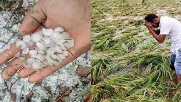 मध्यप्रदेश मौसम समाचार: भोपाल समेत एमपी के इन जिलों में आज आंधी तूफ़ान और गरज-चमक के साथ वर्षा के बने आसार