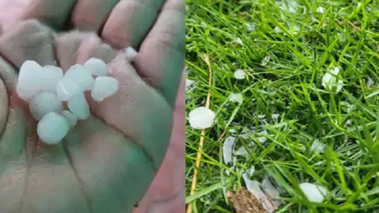 MP Weather: एमपी में लगातार दूसरे दिन इन जिलों में हुई बारिश, भोपाल में बूंदाबांदी; बैतूल में गिरे ओले