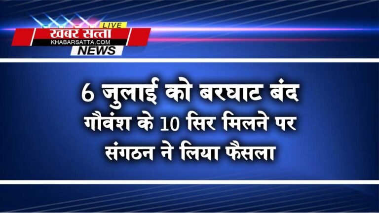 सिवनी: कल बरघाट बंद का एलान, 6 जुलाई को अनेकों संगठनों ने किया एलान; 10 गौवंश के सिर मिलने के बाद…