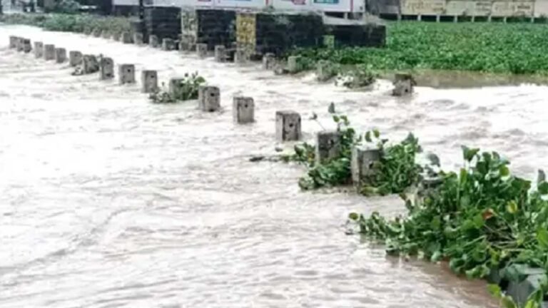 MP WEATHER UPDATE: मध्य प्रदेश के इन 19 जिलों में भारी बारिश की संभावना! आज से एक नया सिस्टम होगा एक्टिव