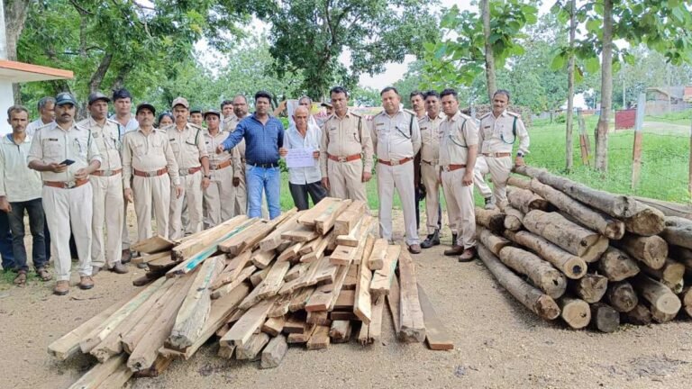 सिवनी: छापामार कार्यवाही में भारी तादाद में इमारती लकड़ी सागौन के लट्ठे एवं चिरान की जब्ती