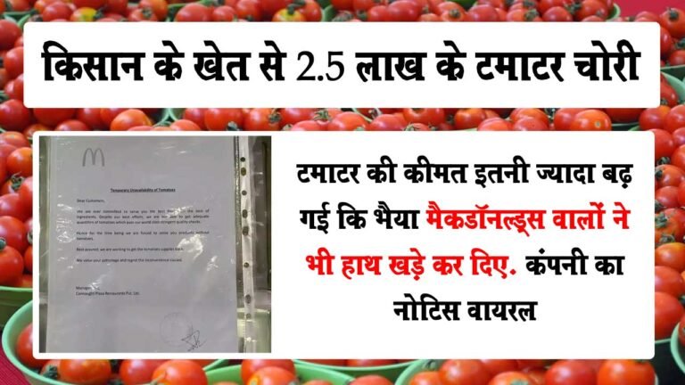 Tomatoes worth 2.5 lakhs stolen from farmer's field: 'Mcdonalds' also upset, company's notice viral on social media