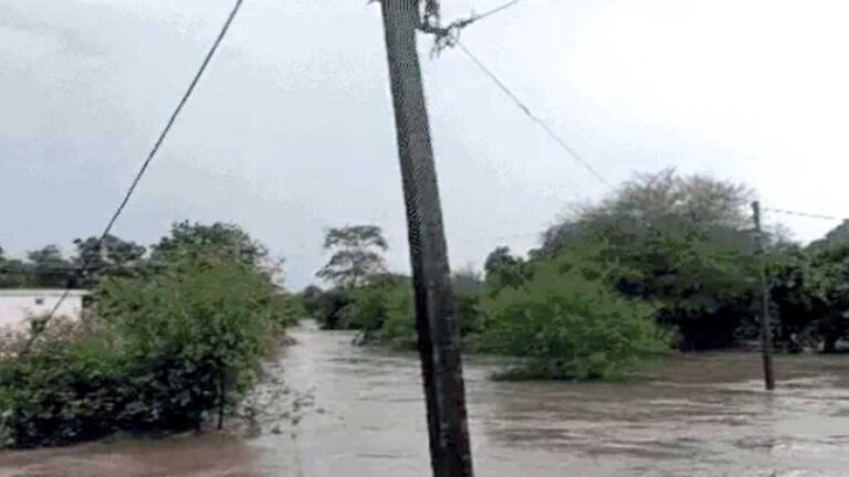 MP WEATHER UPDATE: मध्यप्रदेश के 13 जिलों में भारी बारिश की चेतावनी, उज्जैन में स्कूल बंद; महाकाल मंदिर में पानी पानी