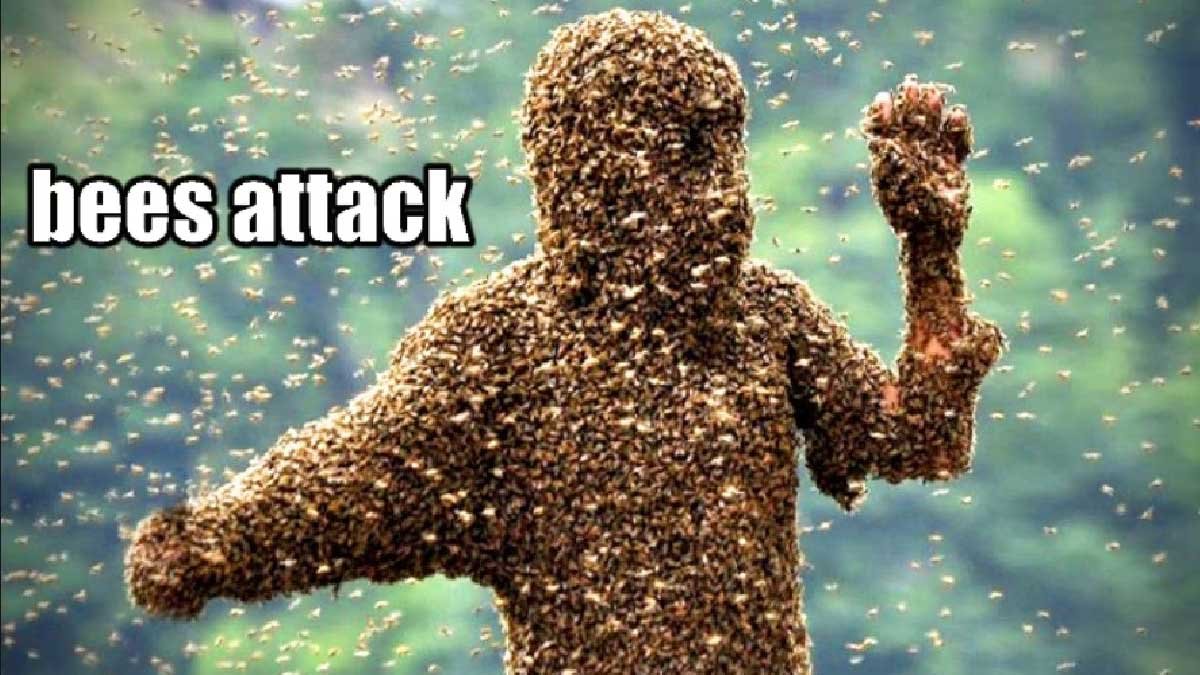 Honey Bee Attack