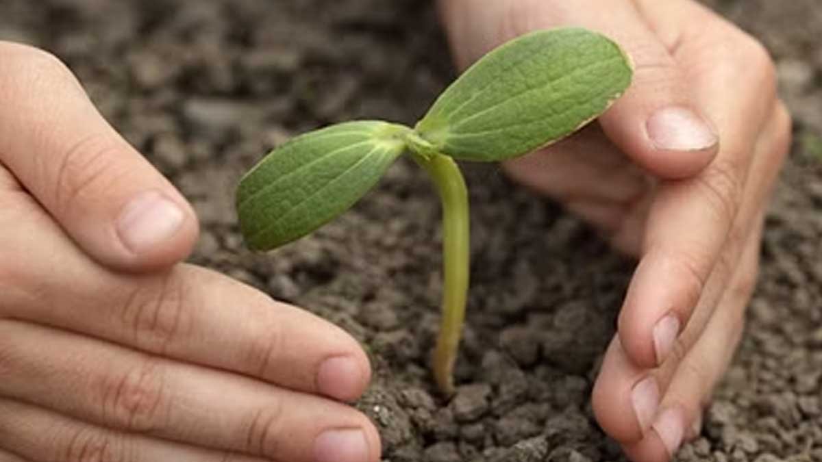 Poudh-Ropan-Maha-Abhiyan