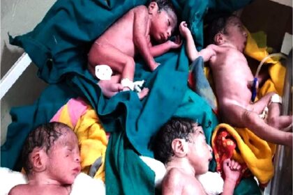 Rajasthan 4 babies Born