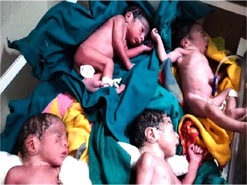 Rajasthan 4 babies Born