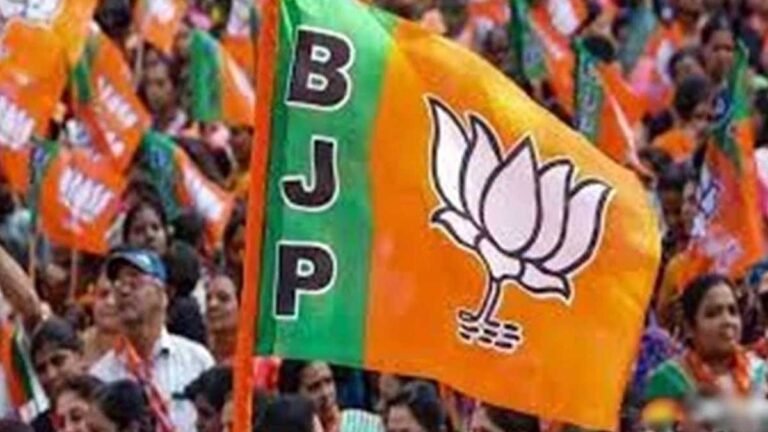 सिवनी में पांच मंडल अध्यक्षों की घोषणा, युवराज राहंगडाले और रामजी चंद्रवंशी पर मंडरा रहे बदलाव के बादल