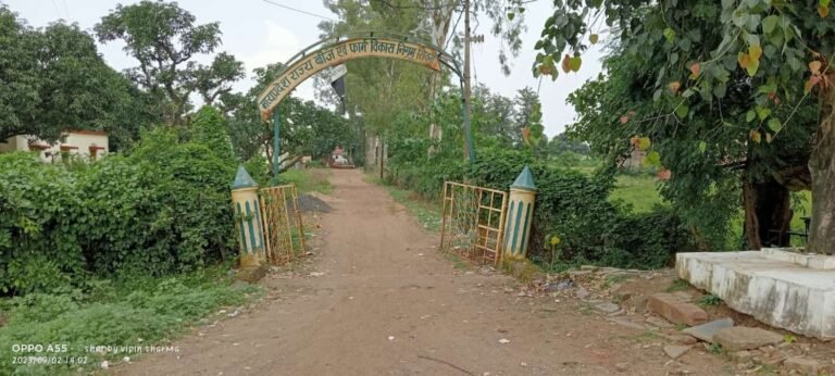 सिवनी ब्रेकिंग: सर्वदलीय बैठक में हुआ निर्णय, बीज निगम की जमीन पर बनेगा नवीन बस स्टैंड