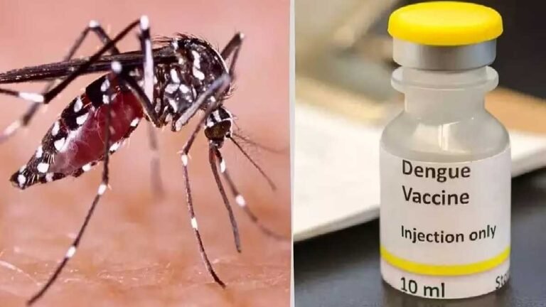 Dengue Vaccine: “खुशखबरी” जानलेवा डेंगू का टीका मिलेगा जल्द, 10 हजार लोगों पर वैक्सीन का सफल परीक्षण